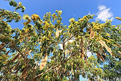 《守望先锋》2021夏季运动会活动预告 7月21日开启