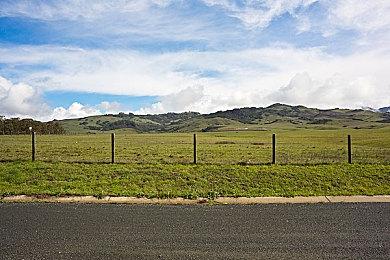 《星露谷物语》销量已超4100万份 游戏热度还很高